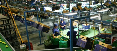 Comercio, gestión y venta